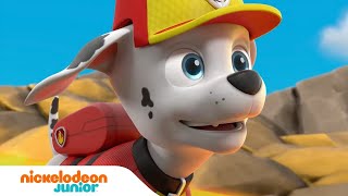 Skye Leads A Mission Scene  PAW PATROL JET TO THE RESCUE 2020 Movie CLIP HD [upl. by Cohl790]