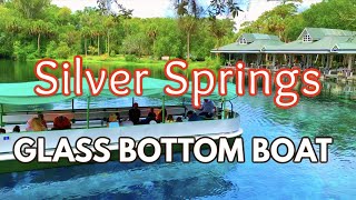 We Road The Glass Bottom Boat Tour in Silver Springs FLORIDA STATE PARK [upl. by Krahling]