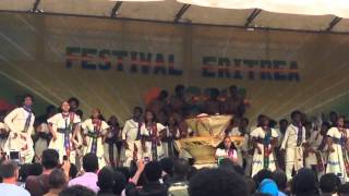 Eritrean Festival 2014 Zoba Debub Performance [upl. by Merlin]