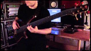 Cynic quotVeil of Mayaquot Bass PlayThrough by Sean Malone [upl. by Neelak60]