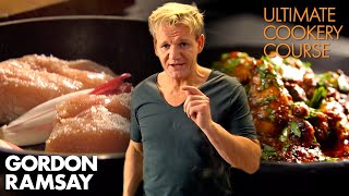 The Best amp Easiest CHICKEN Recipes Part 12  Gordon Ramsays Ultimate Cookery Course [upl. by Aitra]