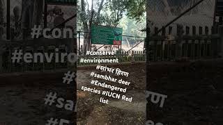 IUCN Red list सांभरहिरण endangered saveanimalkingdom savelife shorts viral rajkumar [upl. by Hillie]