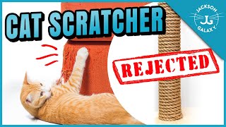 Why Your Cat Won’t Use the Scratching Post [upl. by Nortyad]