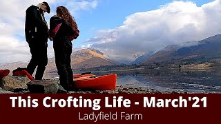 LADYFIELD FARM  This Crofting Life March Update [upl. by Rockel973]