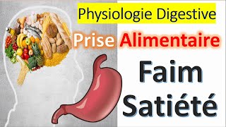 Physiologie digestive Nutrition Prise Alimentaire Faim Satiété Appétit [upl. by Odnalor499]