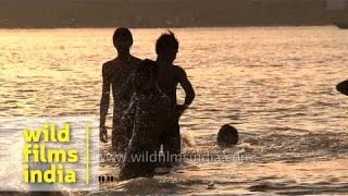 Boys having fun splashing around in the river Ganges Varanasi [upl. by Franza]