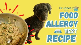 Best Dog Food Allergy Test [upl. by Paugh]