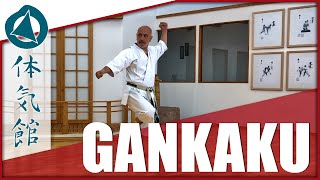 HOW TO GANKAKU – SLOW amp FAST  Shōtōkan Karate Kata by Fiore Tartaglia [upl. by Alfreda12]