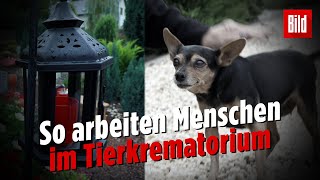 Arbeiten auf dem Tierfriedhof  „Für viele sind Haustiere nur Gebrauchsgegenstand“ [upl. by Atirehgram826]