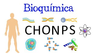 🧬 ¿Qué es la Bioquímica ⚗️ Y su IMPORTANCIA 🧫 Fácil y Rápido  BIOLOGÍA  QUÍMICA [upl. by Dorthy]