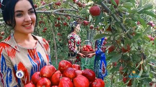 TAJIKISTAN IS A PARADISE OF THE SWEETEST FRUITS EVER IN THE WORLDYOU GOT TO SEE THIS [upl. by Rothstein]