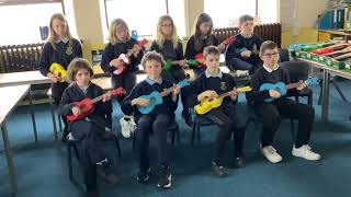 Moray Council Youth Music Initiative  Hopeman Primary School [upl. by Naivatco528]