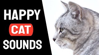 Sound To Make Your Cat Happy  Cat Sound [upl. by Alvarez]