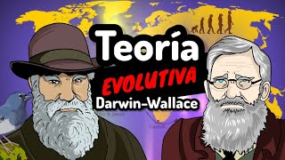 TEORÍA DE EVOLUCIÓN Darwin y Wallace⚡La selección natural fácil y rápido en 5 minutos [upl. by Nessej]