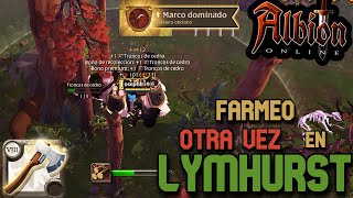 Subiendo la Peletería a T8 en Lym  Albion Online [upl. by Hutt337]