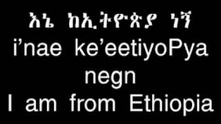 Learn Amharic  Simple and Useful Sentences [upl. by Fidole]