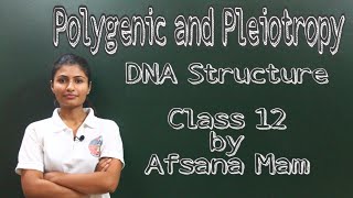 Polygenic Inheritance and Pleiotropy DNA structure Class 12 CBSE [upl. by Annert622]