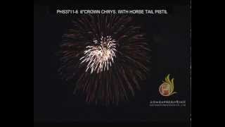 6 Firework Shell  Crown Chrysanthemum amp Horse Tail Pistil [upl. by Kirk]