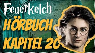 Harry Potter und der Feuerkelch Hörbuch Kapitel 20 Hörspiel Erwachsene Hörbuch Hörspiel [upl. by Nabi516]