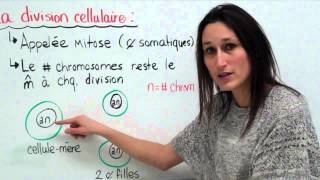 18 Sciences 9e Le cycle cellulaire [upl. by Robenia]