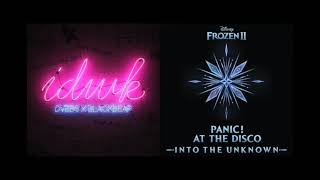 Into the IDWK Panic at the Disco  DVBBSBlackbear Mashup [upl. by Cohligan]