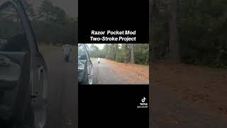 Razor Pocket Mod TwoStroke Project [upl. by Aila622]