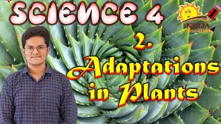 Class 4 Science  Chapter2  Adaptation In Plants  Class 4 Science  adaptation in plants ch 2 [upl. by Atteloc]