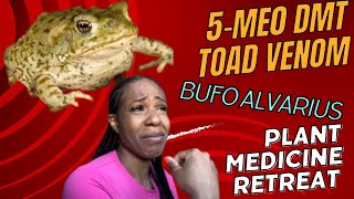 5MEO DMT Toad Venom Bufo Alvarius Plant Medicine Retreat [upl. by Yoong235]