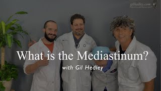 What is the Mediastinum Learn Integral Anatomy with Gil Hedley [upl. by Danuloff]