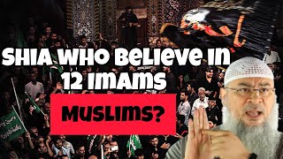 Are Shia who believe in 12 Imams Muslims assim assim al hakeem [upl. by Aneehsat]