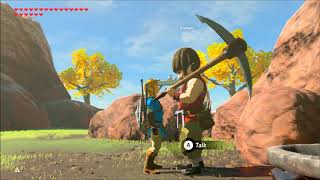 Breath of the Wild Tarrey Town Side Quest Walkthrough [upl. by Ellehsar246]