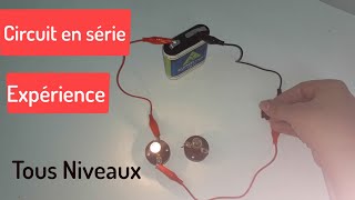 Expérience circuit en série [upl. by Lari]