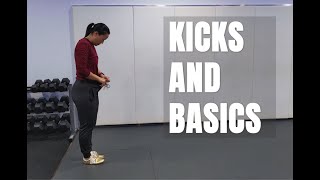 Wushu Practice Part 2  KICKS amp BASICS [upl. by Liam]