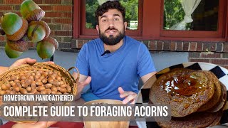 How to Sustainably Forage and Cook Acorns Acorn Flour Pancakes [upl. by Olihs]