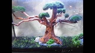 DIY Aquarium Waterfall  Easy To Make Bonsai For Beginners [upl. by Eidlog]