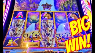 BIG WIN on Buffalo Chief Platinum slot [upl. by Yhtorod]