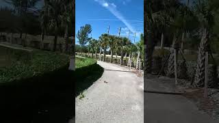 CACTI Park West Palm Beach [upl. by Ojok]