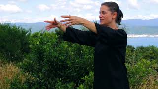 Modules 1  5 Review  Tai Chi 5 Minutes a Day [upl. by Aelsel]