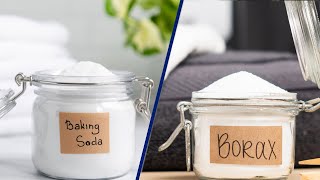 Baking Soda Vs Borax for Toilet Cleaning  Which Really Are Better 2024 [upl. by Batty]