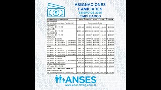 Nuevos montos de asignaciones familiares de Anses en enero de 2025 [upl. by Swan767]