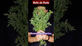 Baño de Ruda Elimina Brujería 🔥 [upl. by Birchard]