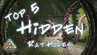 Top 5 Rat Holes Aberration Ark Hidden Base Locations [upl. by Latrena163]