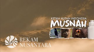 NusantaraKaya  Ketika Hutan Indonesia Musnah [upl. by Nnhoj]