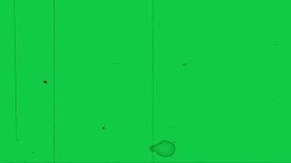 Aesthetic Overlay Green Screen  VHS  old film grain overlay  scratches [upl. by Dorweiler]