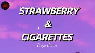 Troye Sivan  Strawberry and Cigarettes [upl. by Naitsirhk]