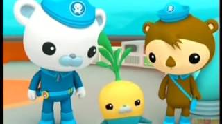 Octonauts s1e36 scary spookfish [upl. by Ellerret413]