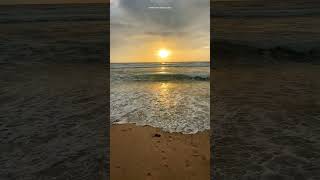 Mandrem Goa shotrs youtubeshorts sunset goa travel beach sunsetview bhatkantitravelsaga [upl. by Annej]