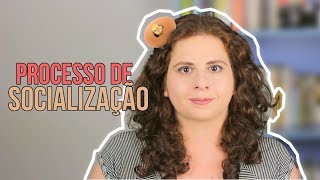 Processo de Socialização Mecanismos e Níveis de Socialização 13 [upl. by Yesnyl]