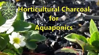 Horticultural Charcoal for Aquaponics [upl. by Aknayirp935]