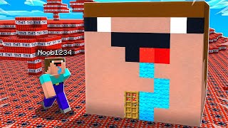 7 Ways to Prank Noob1234s Minecraft House [upl. by Hploda]